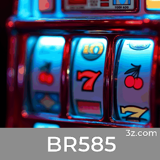 BR585 Logo